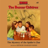 The_Mystery_Of_The_Spider_s_Clue